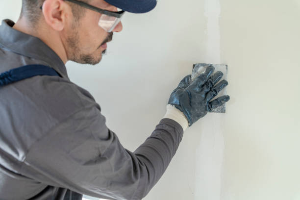  Haddon Heights, NJ Mold Removal Pros