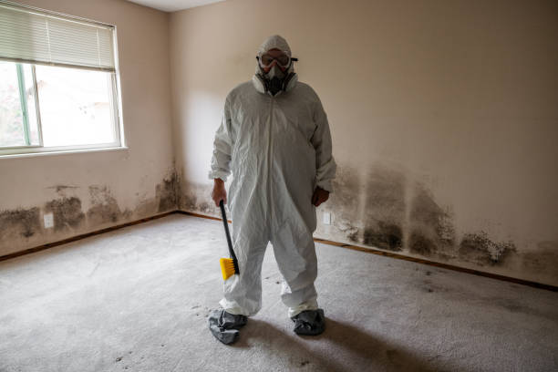 Best Air Quality Testing for Mold Spores  in Haddon Heights, NJ