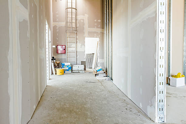 Trusted Haddon Heights, NJ Mold Removal Experts